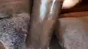 Tattooed babe screams in orgasm stroking massive black cock to cumshot explosion