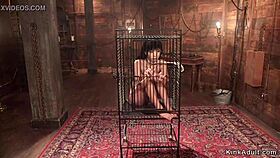 yo check out this petite asian lesbian getting her ass anal slammed in lezdom