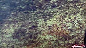 alex adams pounds arabic milf alina angel's wet pussy with monster cock