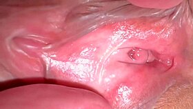 amateur shaved pink pussy close-up 336 days post virginity loss