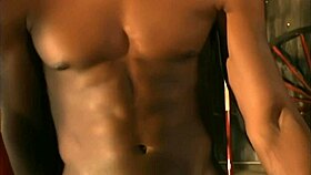 Phyllisha Anne dives into filthy anal interracial whore action